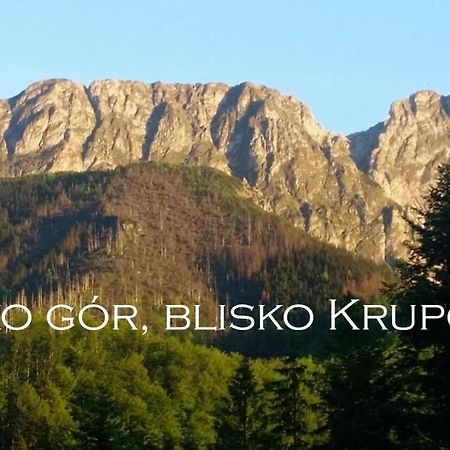 Willa Otulina Pod Giewontem Zakopane Extérieur photo