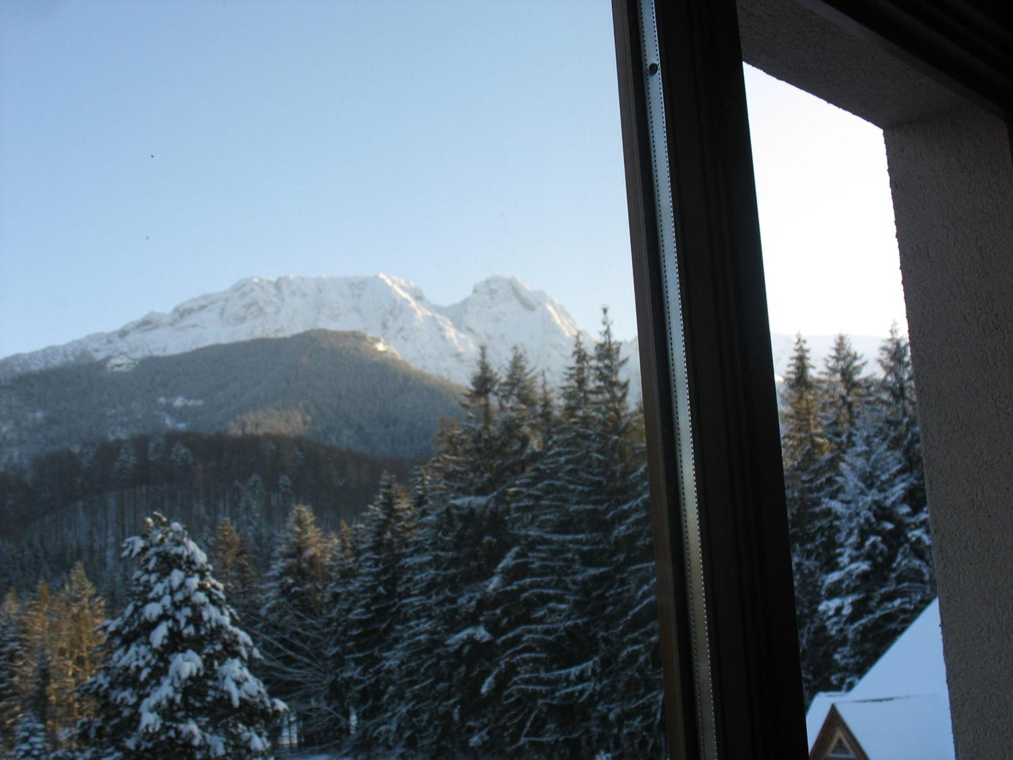 Willa Otulina Pod Giewontem Zakopane Extérieur photo