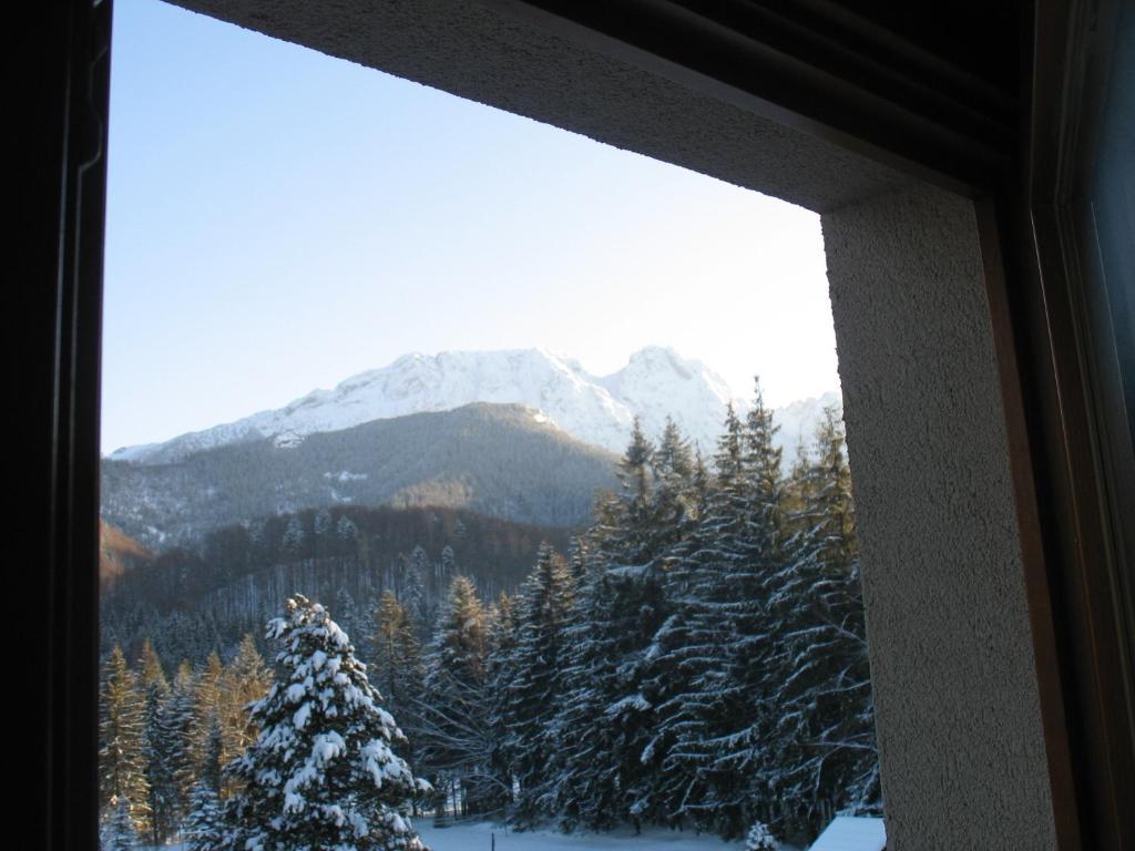 Willa Otulina Pod Giewontem Zakopane Chambre photo