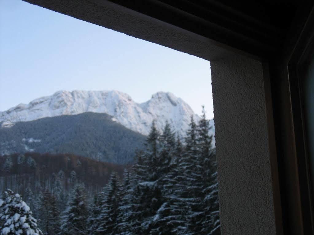 Willa Otulina Pod Giewontem Zakopane Extérieur photo